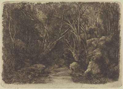 Bäcken i skogen av Rodolphe Bresdin