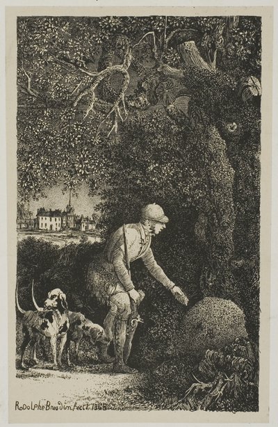 Diplomaten och myrstacken, illustration för fabler och berättelser av Hippolyte de Thierry-Faletans av Rodolphe Bresdin