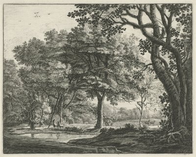 Rådjur i Haagskogen Faces in the Haagse Bos (serietitel) av Roelant Roghman