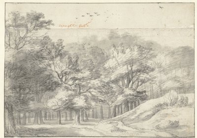 Utsikt i Haagse Bos av Roelant Roghman