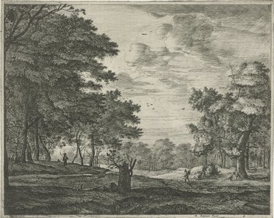 Vandrare i Haagse Bos av Roelant Roghman