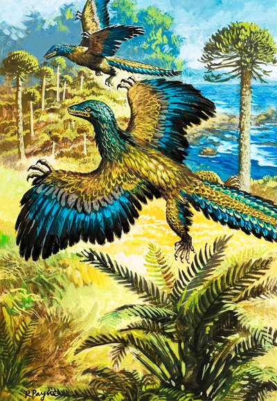 Archaeopreryx av Roger Payne