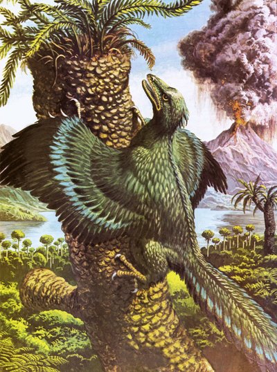 Arkeopteryx av Roger Payne