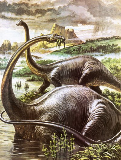 Diplodocus av Roger Payne
