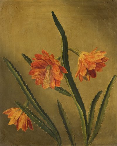 Studie av blommor (olja på duk) av Rolinda Sharples