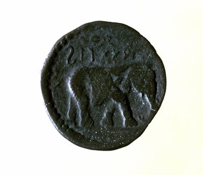 Kartago mynt som föreställer en elefant. 3:e eller 2:a århundradet f.Kr. av Roman