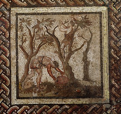 Skörda druvor, från Saint-Romain-en-Gal (mosaik) av Roman