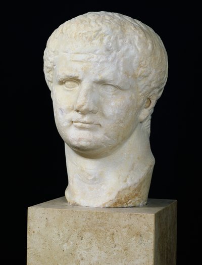 Titus huvud (39-81) (marmor) av Roman