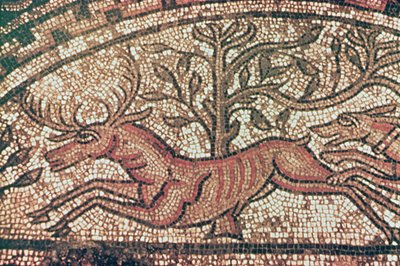 Hinton St. Mary trottoar (detalj) c.350 AD (mosaik) av Roman