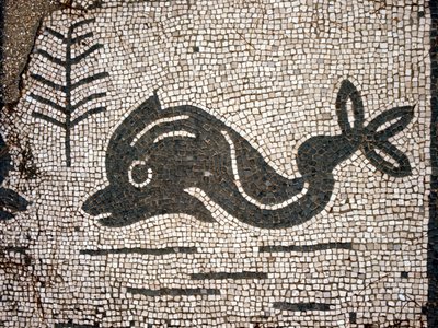Representation av en delfin efter en mosaik på torget i Corporazioni of Ostia (Ostia) antica. av Roman
