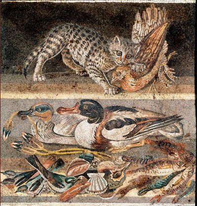 Romersk konst: katt som äter en rapphöna och vildänder Första hälften av 1:a f.Kr.) Rom, Museo Nazionale Romano av Roman