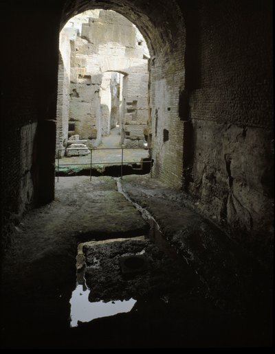 Romersk konst: utsikt över de underjordiska passagerna i Colisee (Colosseo) i Rom, Italien av Roman