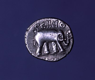 Silvermynt som föreställer en elefant, fetischdjur från Scipions. Lucius Caecilius Metellus tog de karthagiska elefanterna 251 f.Kr. 47-46 f.Kr. av Roman