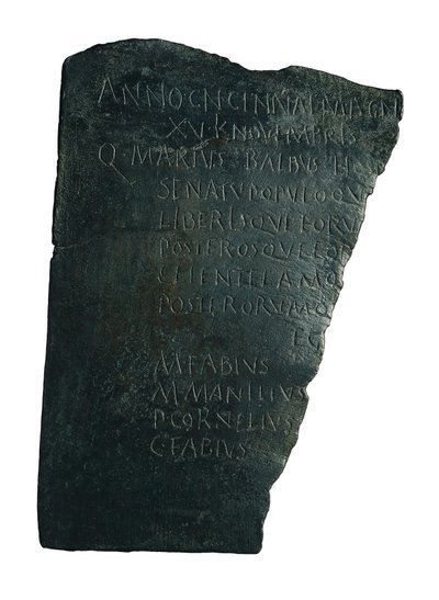 Sjukhusstyrelsen av Roman