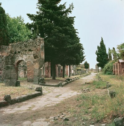 Graves Way och Herculaneum Gate av Roman