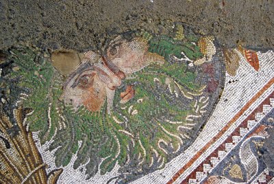 Okänd bild av Roman