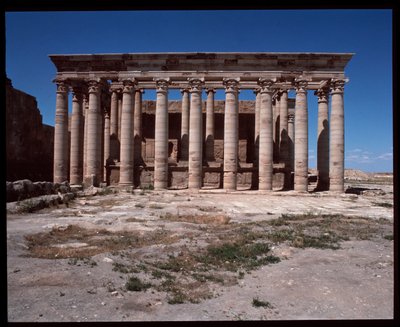 Vy över det romerska templet av Roman
