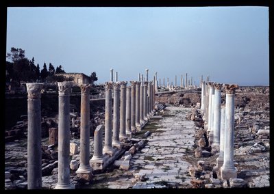 Utsikt över den arkeologiska platsen, 2:a-4:e århundradet av Roman
