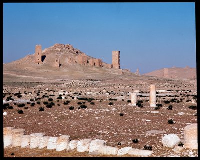 Utsikt över Iamblichus och Elahbels torngravar (Fotografi) av Roman