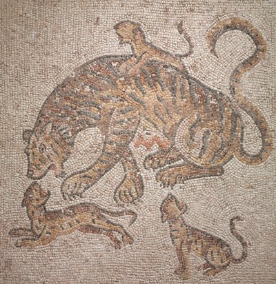 Tigress och ungar, 300-tal av Roman Imperial Period