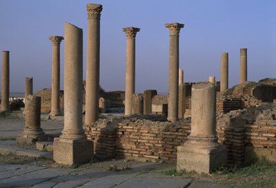 Utsikt över biblioteket, ca 100 e.Kr., höga kejsarperioden (27 f.Kr.-395 e.Kr.) av Roman Imperial Period
