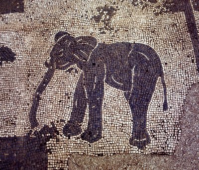 Forntida Ostia (Ostia). Place des Corporations. Mosaik av Sabratha Seafarers Corporation. av Roman Roman