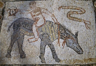 Desultor (idrottare som hoppade från en häst till en annan under loppet) rider åsnan baklänges och håller upp kantharos (vinnarbägaren), mosaik i House of Desultor i den romerska staden Volubilis (UNESCO:s världsarvslista av Roman Roman