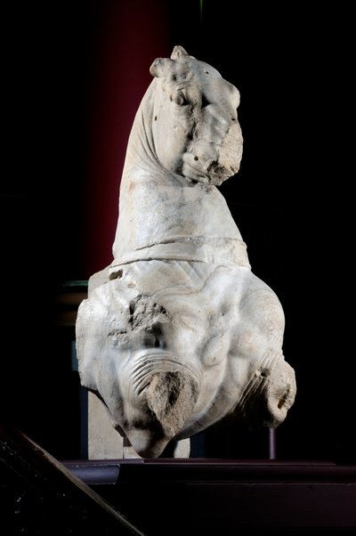 Främre delen av en häst (marmor) (se även 371182 & 371183) av Roman Roman