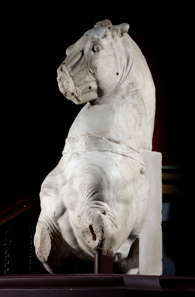 Främre delen av en häst (marmor) (se även 371182 & 371184) av Roman Roman