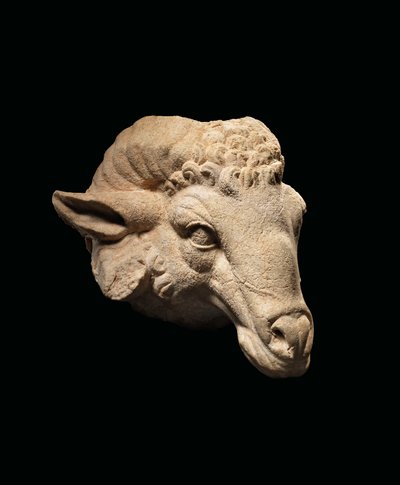 Huvud av en bagge, ca 1:a århundradet f.Kr. - 1:a århundradet e.Kr. (marmor) av Roman Roman