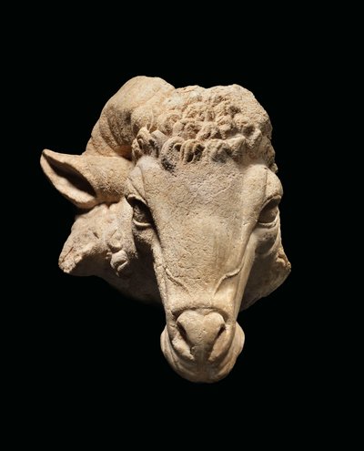 Huvud av en bagge, ca 1:a århundradet f.Kr. - 1:a århundradet e.Kr. (marmor) av Roman Roman