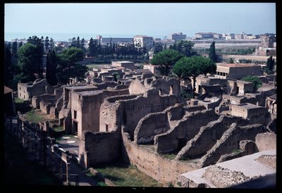 Panoramautsikt över den arkeologiska platsen, 500-talet f.Kr.-1:a århundradet e.Kr av Roman Roman