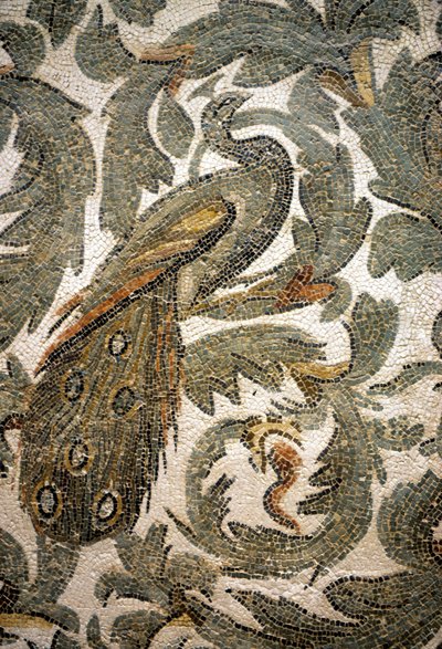 Påfågel, detalj av mosaik - 300-talet e.Kr., Bardo-museet, Tunis av Roman Roman