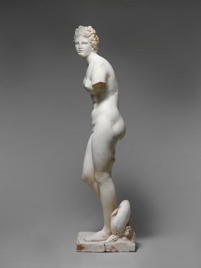 Staty av Afrodite av Roman Roman