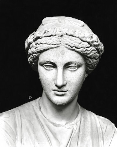 Staty av Clio som håller en rulla, detalj av huvudet (sten) (s/v foto) (se även 161938) av Roman Roman