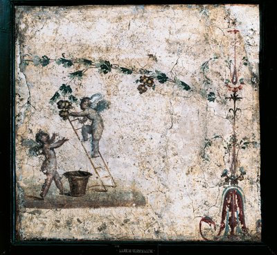 Tredje stil fresk föreställande Cupids skörd, från House of Marcus Lucretius i Pompeji av Roman Roman