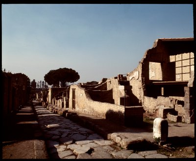 Vy över Decumanus Maximus, 500-talet f.Kr.-1:a århundradet e.Kr av Roman Roman