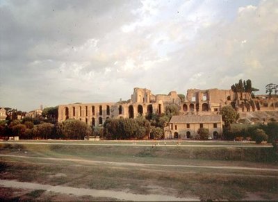 Utsikt över Palatinen från Circus Maximus (foto) (se även 99013) av Roman Roman