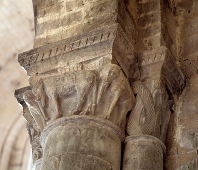 Elefanter (huggen huvudstad i långhuset av Romanesque