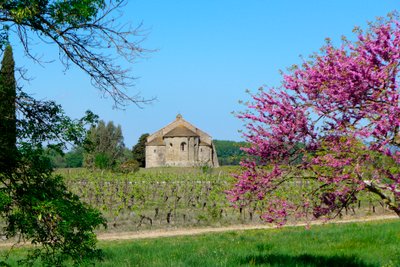 Romanska kapellet Saint-Etienne de Vaissiere i Azille (foto) av Romanesque