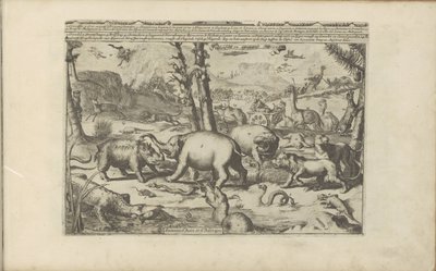 Aziatische en Afrikaanse dieren Aziatische en Afrikaanse dieren / Animals of Asia and Africa (titel på objekt) Öst- och Västindien och andra platser (serietitel) av Romeyn de Hooghe