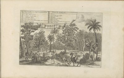 Bomen en specerijen Indiska växter, etc / Indiaensche kruyden, etc (titel på objekt) Öst- och Västindien och andra platser (serietitel) av Romeyn de Hooghe