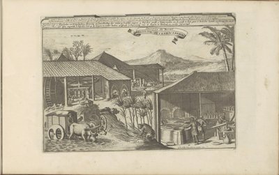Brasilianska sockrar Brasilise Suykerwerken / Godis från Brasilien (titel på objekt) Öst- och Västindien och andra platser (serietitel) av Romeyn de Hooghe