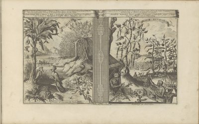 Planten, vogels och pepervelden Loua, Pineapple Musa / Plants and Birds of the Indies // Peeper-Gewassen / Pepper Plantation (titel på objektet) Öst- och Västindien och andra platser (serietitel) av Romeyn de Hooghe