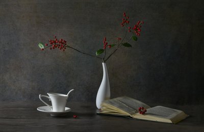 Mysigt läsestilleben av Rong Wei