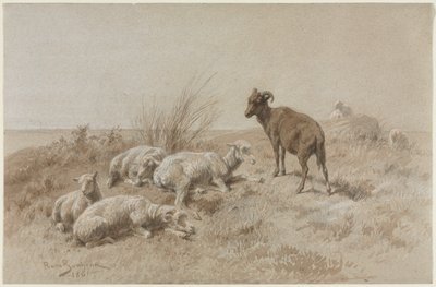 Får av Rosa Bonheur