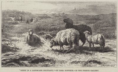 Får i ett landskap, Bretagne av Rosa Bonheur