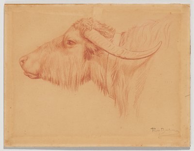 Vattenbuffel av Rosa Bonheur