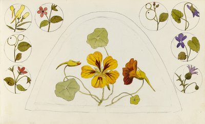 Motivering med krasse och andra blommor av Rosa Brett