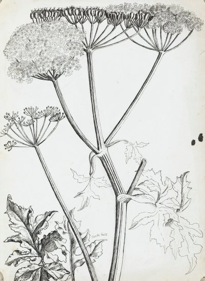 Hundkäx av Rosalie Brill